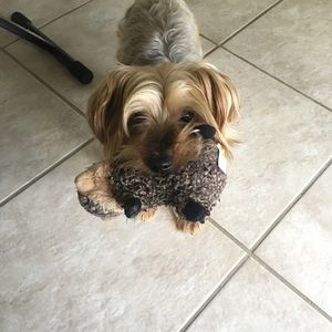 Meet your Posher, Erika